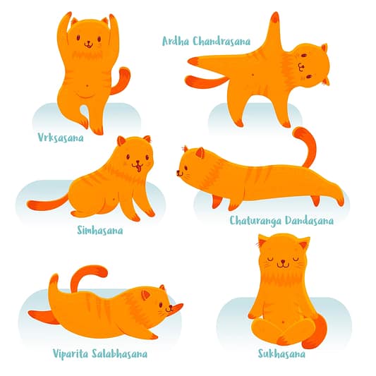 orange cat yoga poses cartoon illustration